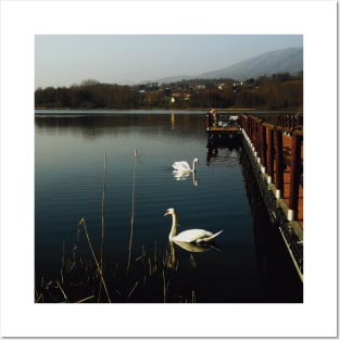 Lake with swan and bridge landscape photography Posters and Art